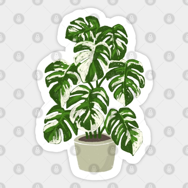 Monstera borsigiana variegated plant with fenestrations Sticker by gronly